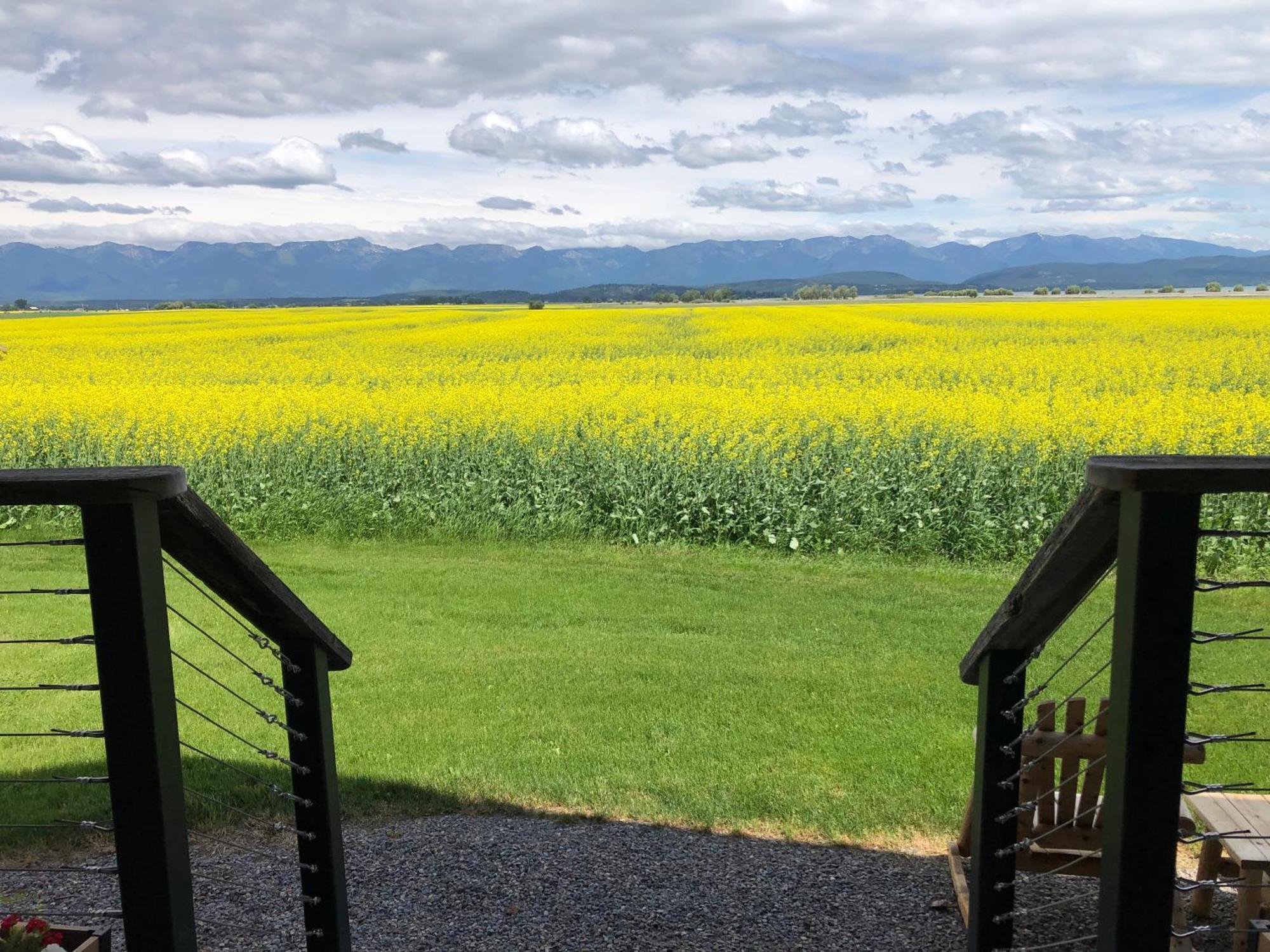 New Cabin With Spectacular Views Of Flathead Lake. Somers Luaran gambar